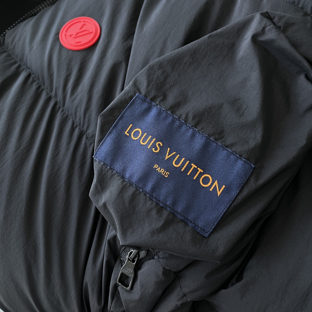 Louis Vuitton Down Jackets